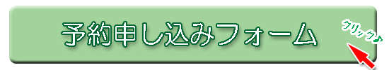 村上市の整体 無痛整体樹庵のごよやくフォーム